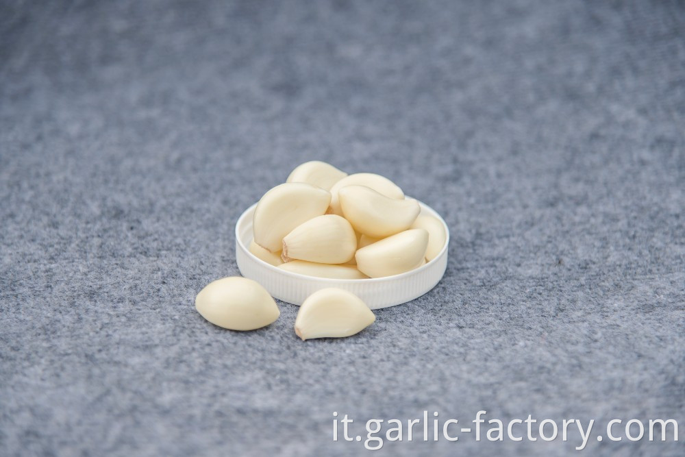 Fesh Peeled Garlic For Sale